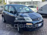 2020 Fiat Panda