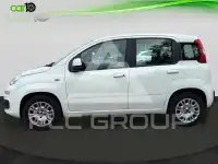 2020 Fiat Panda