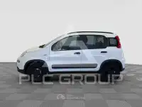 2020 Fiat Panda
