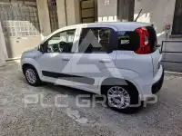 2020 Fiat Panda