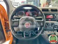 2020 Fiat Panda