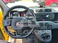 2020 Fiat Panda