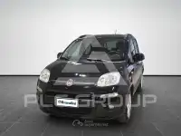 2020 Fiat Panda