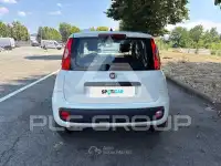 2020 Fiat Panda