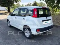 2020 Fiat Panda