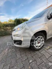 2020 Fiat Panda