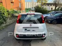 2020 Fiat Panda