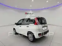 2020 Fiat Panda
