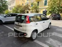2020 Fiat Panda