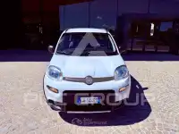 2020 Fiat Panda