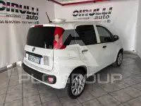 2020 Fiat Panda