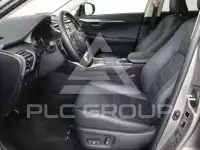 2020 Lexus NX