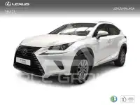 2020 Lexus NX