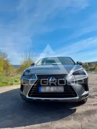 2020 Lexus NX