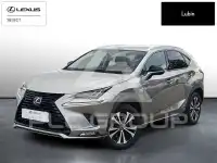 2020 Lexus NX