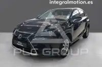 2020 Lexus NX