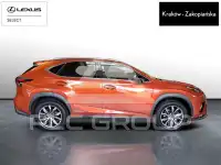 2020 Lexus NX