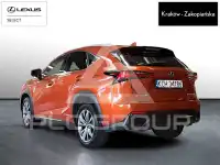 2020 Lexus NX