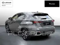 2020 Lexus NX