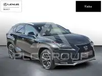 2020 Lexus NX