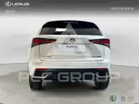 2020 Lexus NX