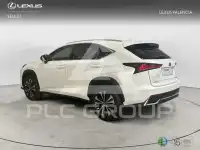 2020 Lexus NX
