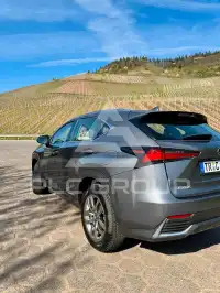 2020 Lexus NX