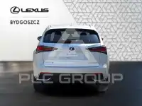 2020 Lexus NX