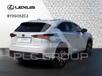 2020 Lexus NX