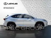 2020 Lexus NX