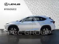 2020 Lexus NX