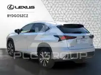 2020 Lexus NX