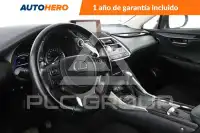 2020 Lexus NX