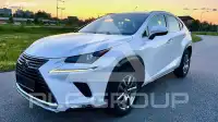 2020 Lexus NX