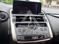 2020 Lexus NX