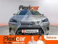 2020 Lexus NX