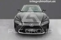 2020 Lexus NX