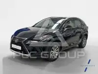2020 Lexus NX