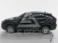 2020 Lexus NX