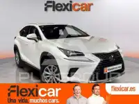 2020 Lexus NX