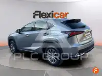 2020 Lexus NX