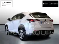 2020 Lexus NX