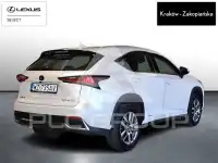 2020 Lexus NX