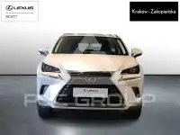 2020 Lexus NX