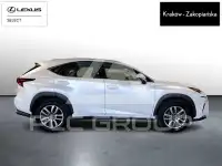 2020 Lexus NX