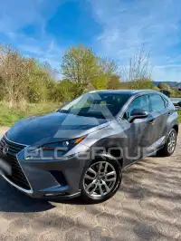 2020 Lexus NX