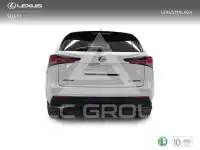 2020 Lexus NX