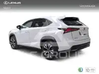 2020 Lexus NX