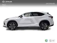 2020 Lexus NX