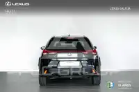 2020 Lexus UX